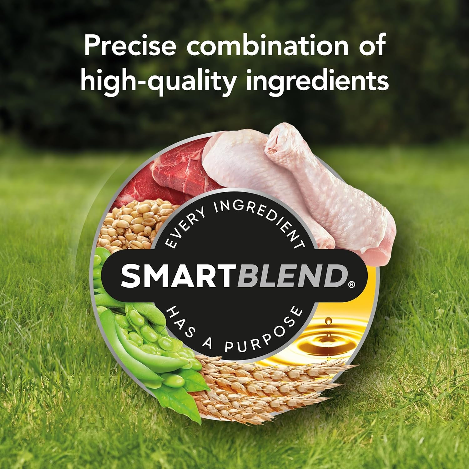 SUPERCOAT SMARTBLEND Puppy Dry Dog Food Chicken 18Kg